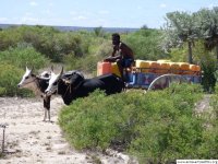 livraison hebdomadaire de l'eau